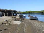 Fishing village and panga  along the mangrove